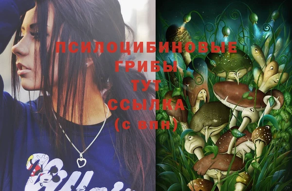 бутират Белоозёрский