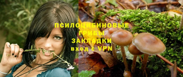 гашик Белокуриха