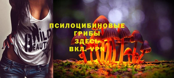 гашик Белокуриха