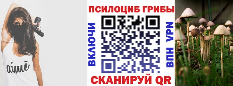 Псилоцибиновые грибы Psilocybe Ворсма